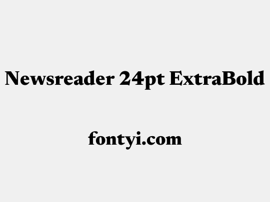 Newsreader 24pt ExtraBold