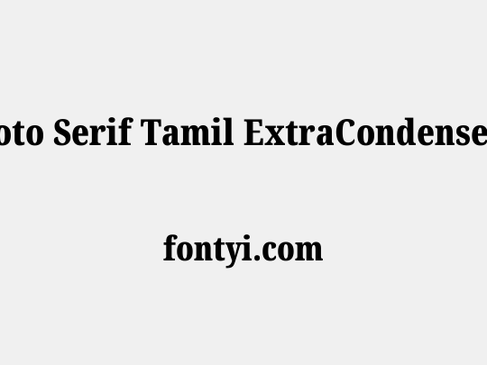 Noto Serif Tamil ExtraCondensed Black