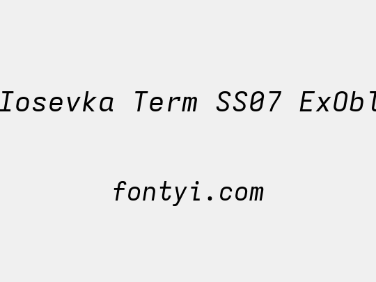 Iosevka Term SS07 ExObl