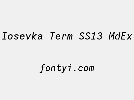 Iosevka Term SS13 MdEx