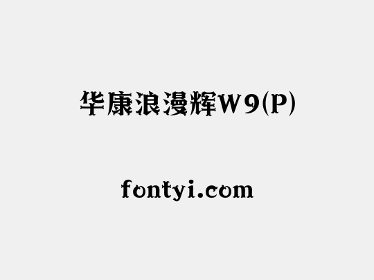 华康浪漫辉W9(P)