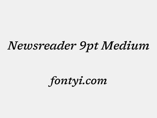 Newsreader 9pt Medium