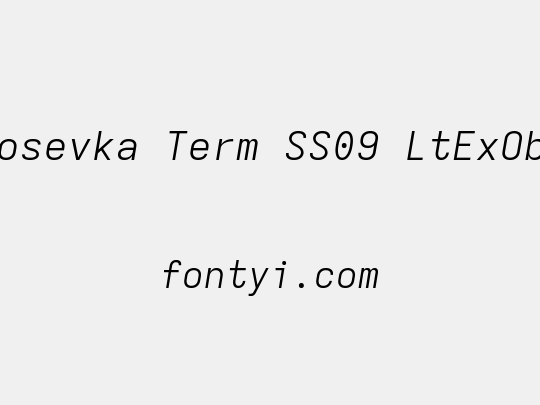 Iosevka Term SS09 LtExObl