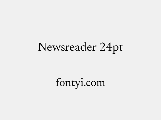 Newsreader 24pt