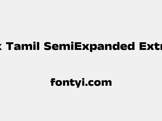 Anek Tamil SemiExpanded ExtraBold