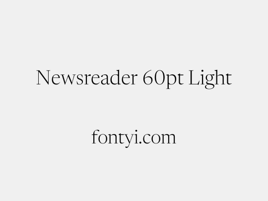 Newsreader 60pt Light