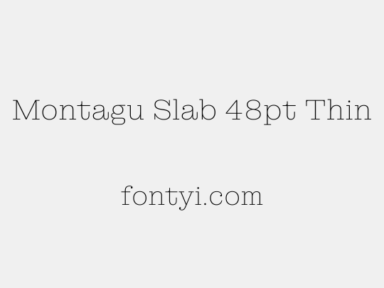 Montagu Slab 48pt Thin