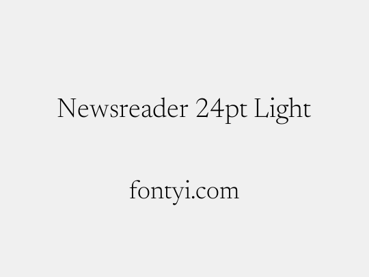 Newsreader 24pt Light