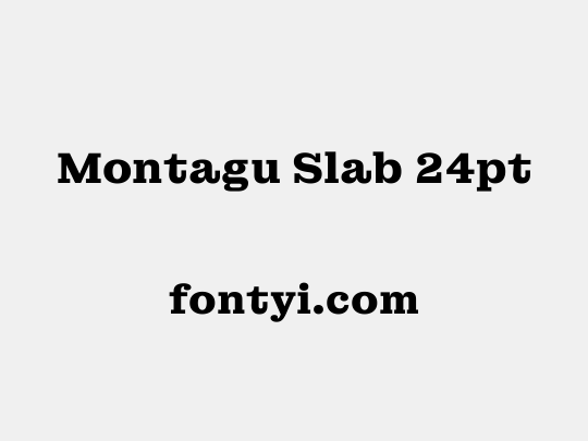 Montagu Slab 24pt