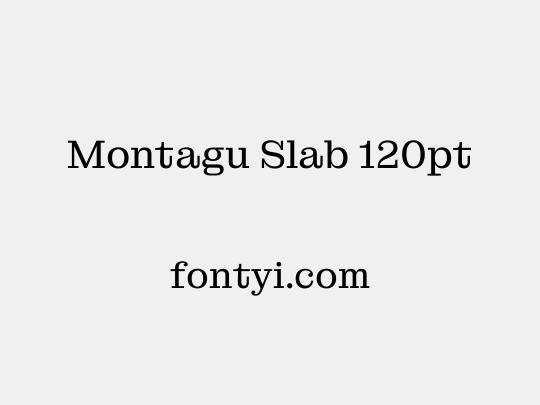 Montagu Slab 120pt