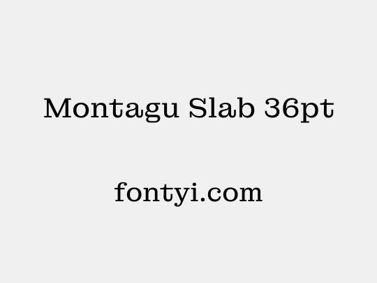 Montagu Slab 36pt