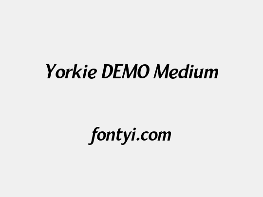Yorkie DEMO Medium