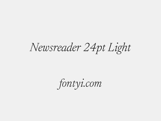 Newsreader 24pt Light