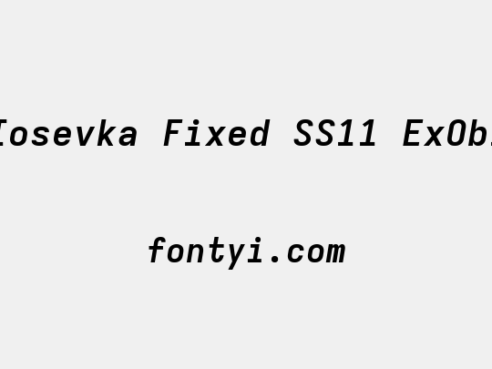 Iosevka Fixed SS11 ExObl