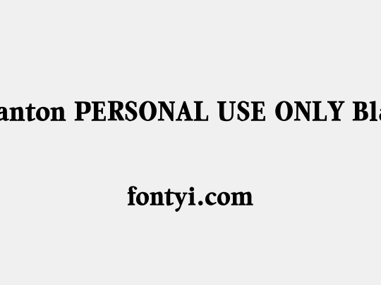 Quanton PERSONAL USE ONLY Black
