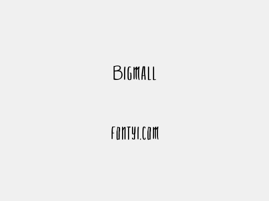 Bigmall