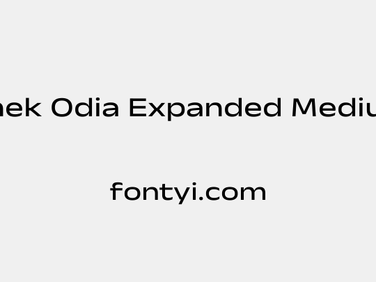 Anek Odia Expanded Medium