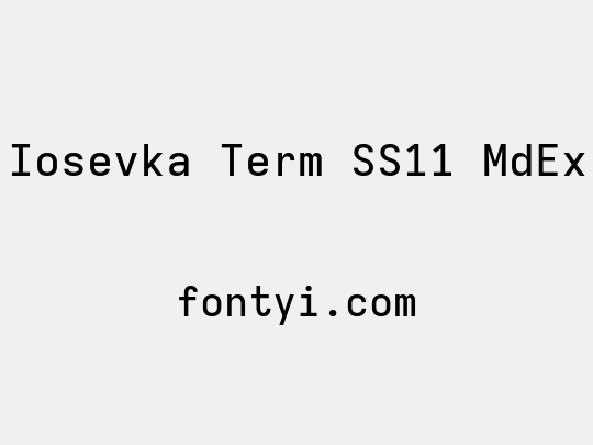 Iosevka Term SS11 MdEx
