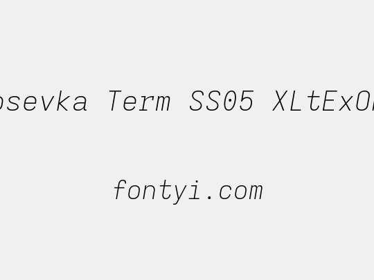 Iosevka Term SS05 XLtExObl