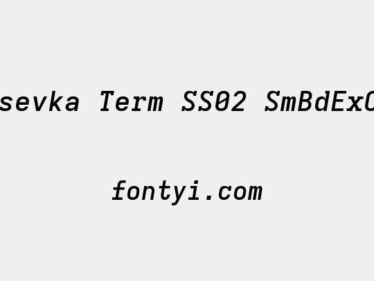Iosevka Term SS02 SmBdExObl