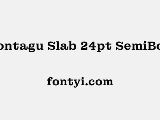 Montagu Slab 24pt SemiBold