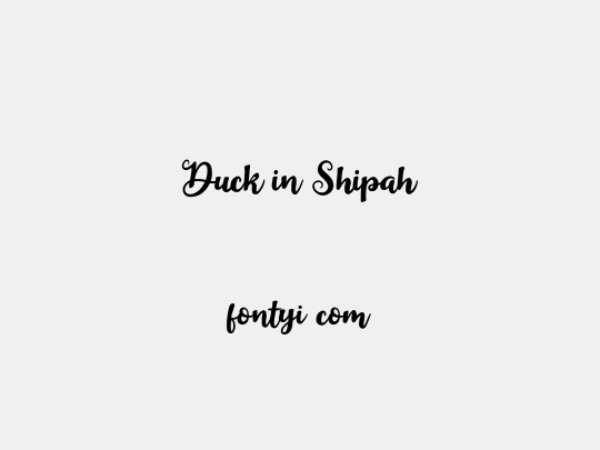 Duck in Shipah