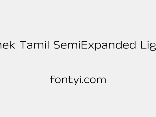 Anek Tamil SemiExpanded Light