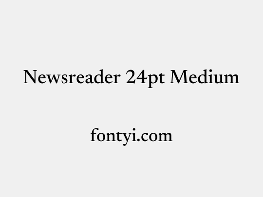 Newsreader 24pt Medium