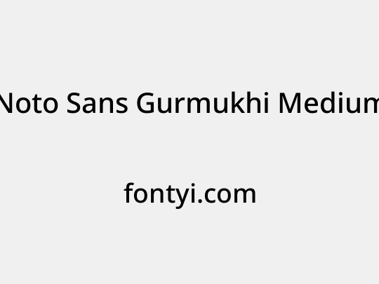 Noto Sans Gurmukhi Medium