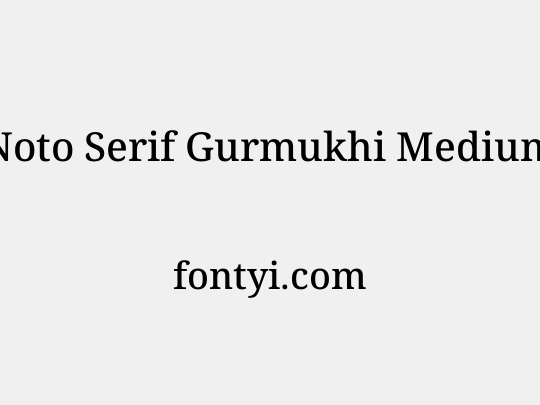 Noto Serif Gurmukhi Medium