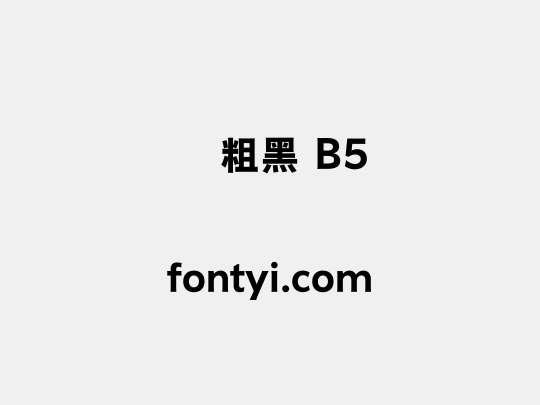 汉仪粗黑 B5