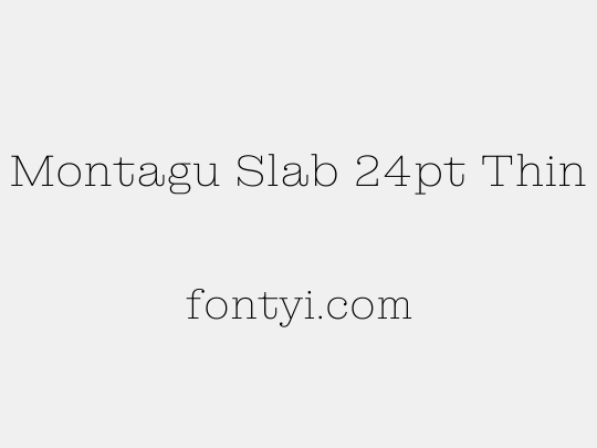 Montagu Slab 24pt Thin