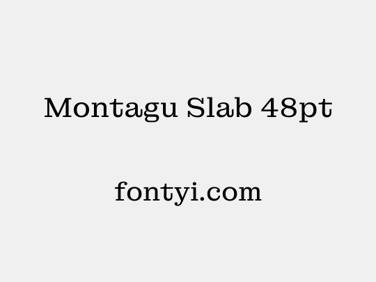 Montagu Slab 48pt
