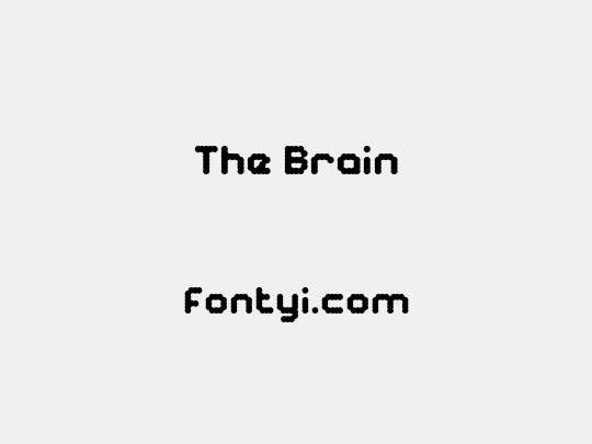 The Brain