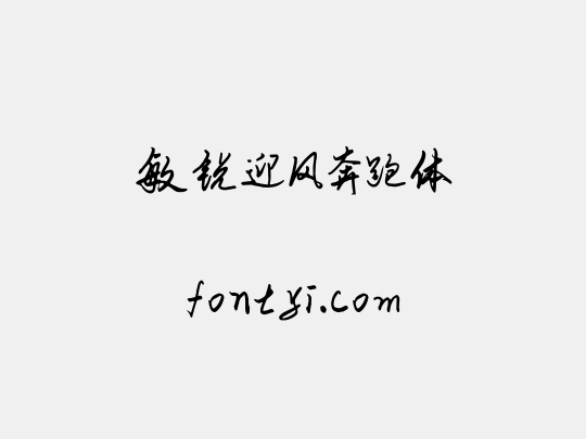 敏锐迎风奔跑体