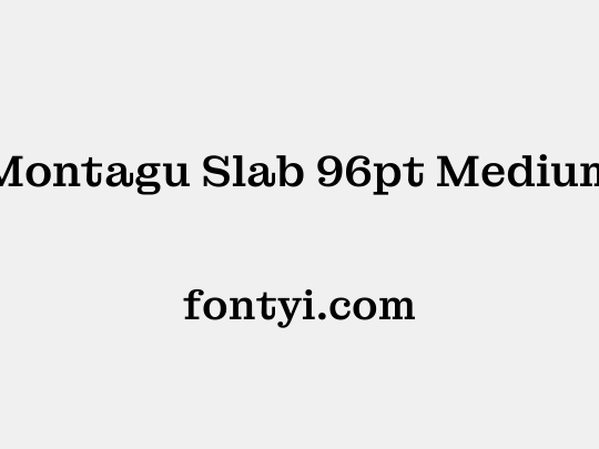 Montagu Slab 96pt Medium