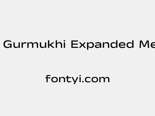 Anek Gurmukhi Expanded Medium