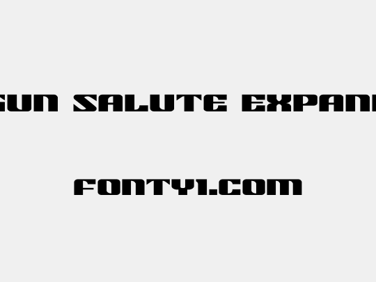 21 Gun Salute Expanded