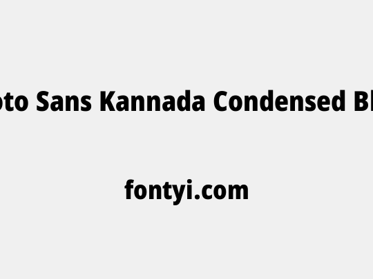 Noto Sans Kannada Condensed Black
