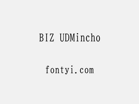 BIZ UDMincho