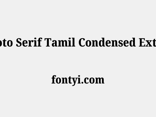 Noto Serif Tamil Condensed ExtraBold