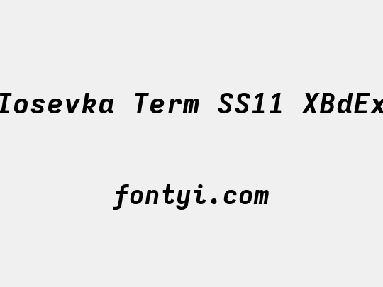 Iosevka Term SS11 XBdEx