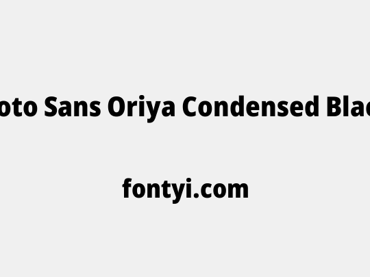 Noto Sans Oriya Condensed Black