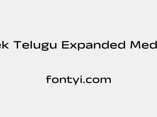 Anek Telugu Expanded Medium