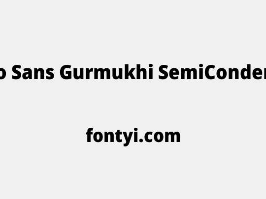 Noto Sans Gurmukhi SemiCondensed Black