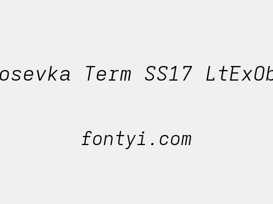 Iosevka Term SS17 LtExObl