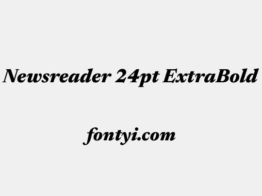 Newsreader 24pt ExtraBold