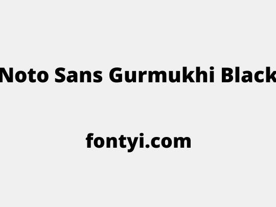 Noto Sans Gurmukhi Black