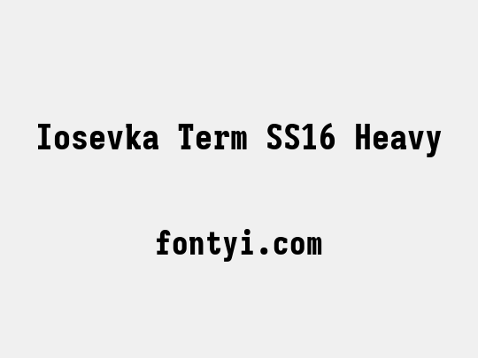 Iosevka Term SS16 Heavy