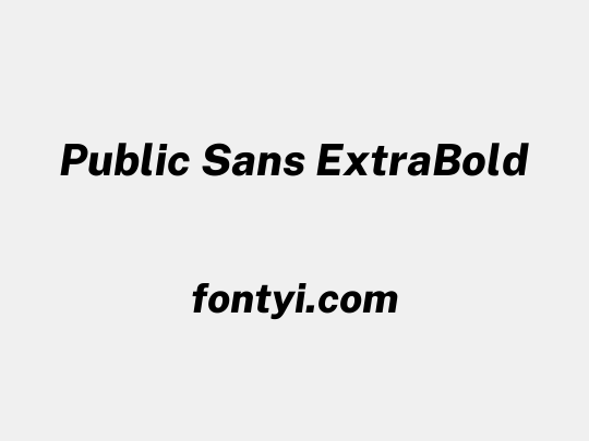 Public Sans ExtraBold
